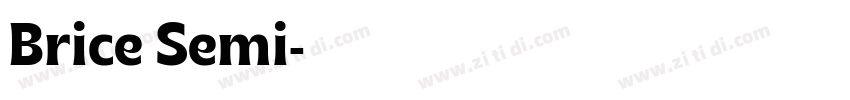 Brice Semi字体转换